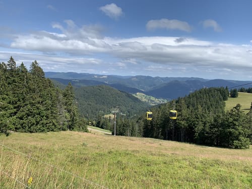 Belchensteig (Genießerpfad)