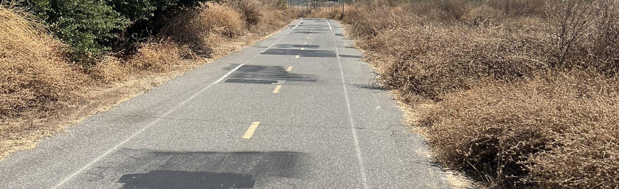 AllTrails Rio Hondo Bike Path 164 Reviews, Map California