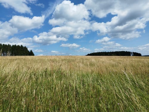 Winterberg W4 Kuhlenbergweg