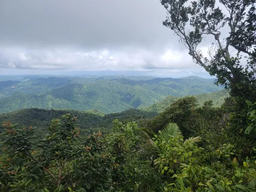 2023 Best Trails near Los Tres - EyJidWNrZXQiOiJhc3NldHMuYWxsdHJhaWxzLmNvbSIsImtleSI6InVwbG9hZHMvcGhvdG8vaW1hZ2UvNjI1OTE0NzkvODY4YjJkNThiZmNiYjNhY2M4YmM0Y2MwMGZjODA3NjIuanBnIiwiZWRpdHMiOnsidG9Gb3JtYXQiOiJ3ZWJwIiwicmVzaXplIjp7IndpZHRoIjo1MDAsImhlaWdodCI6NTAwLCJmaXQiOiJpbnNpZGUifSwicm90YXRlIjpudWxsLCJqcGVnIjp7InRyZWxsaXNRdWFudGlzYXRpb24iOnRydWUsIm92ZXJzaG9vdERlcmluZ2luZyI6dHJ1ZSwib3B0aW1pc2VTY2FucyI6dHJ1ZSwicXVhbnRpc2F0aW9uVGFibGUiOjN9fX0=