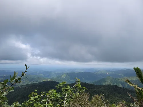 2023 Best Trails near Los Tres Picachos AllTrails