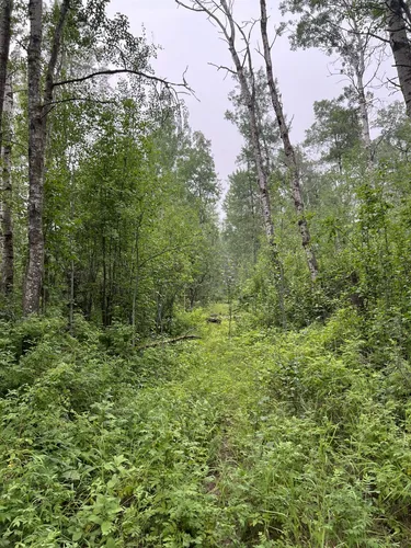 Best Hikes and Trails in Winagami Lake Provincial Park AllTrails