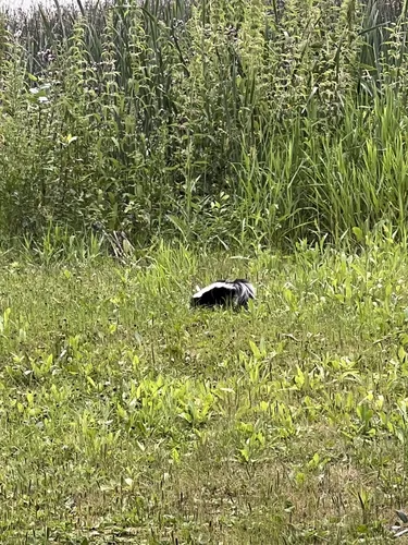 Best Hikes and Trails in Winagami Lake Provincial Park AllTrails