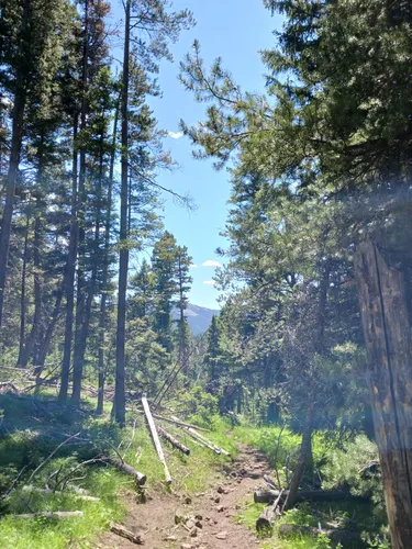 Best Backpacking Trails in Spencer AllTrails