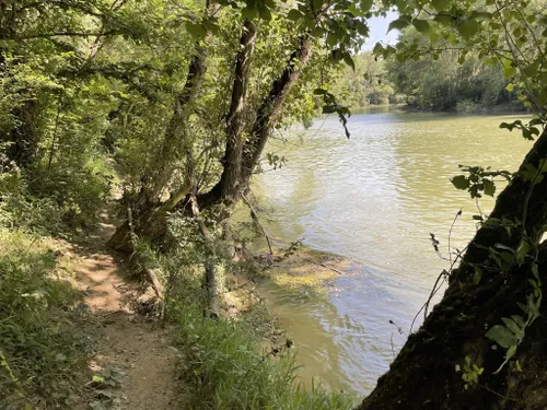 2023 Best River Trails in Réserve naturelle de la confluence Garonne ...