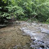 Moormans River and Appalachian Trail Loop, Virginia - 230 Reviews, Map ...