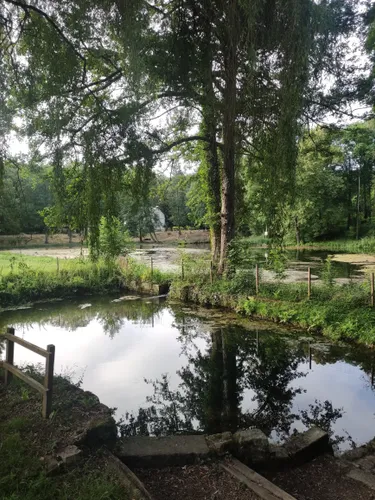 Best Camping Trails in Griselles AllTrails