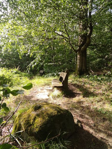 Wattenbach nach Wellerode-Wald über dem Schorn