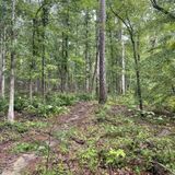 Noxubee Hills Outer Loop, Mississippi - 105 Reviews, Map | AllTrails