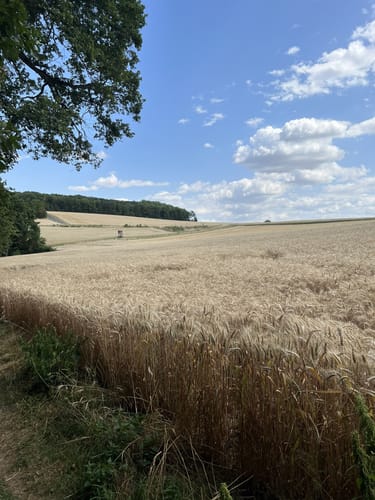 3-Tälerweg Mainberg
