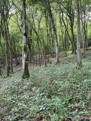 3-Tälerweg Mainberg