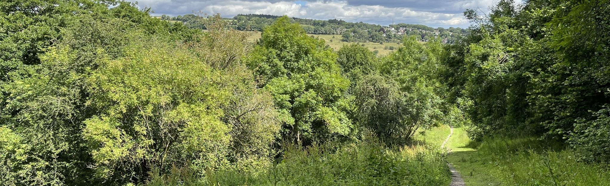 Hudswell Woods and Hag Wood Circular, 56 Fotos - North Yorkshire ...