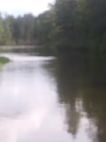 2023 Best Views Trails in Manitowish Waters | AllTrails