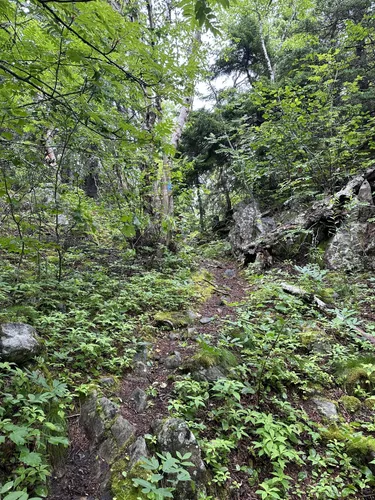 Best Beach Trails in Whiting AllTrails