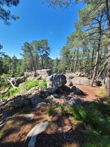 Tour in the Forest of Fontainebleau, Seine-et-Marne, France