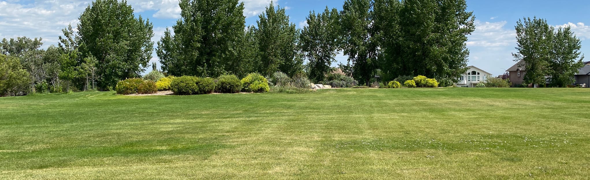 Grand River Park 15 fotos Alberta, Canadá AllTrails