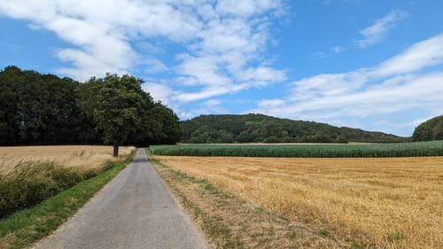 Luisenturmrunde