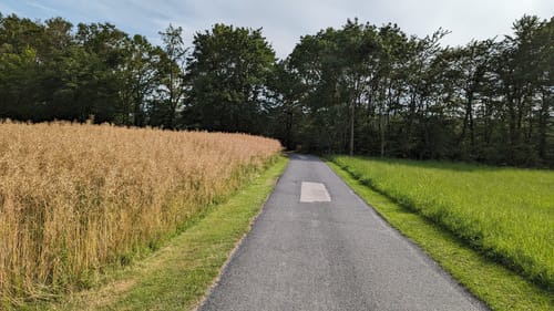 Luisenturmrunde