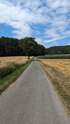 Luisenturmrunde