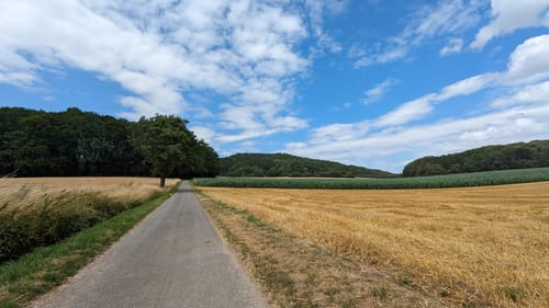 Luisenturmrunde