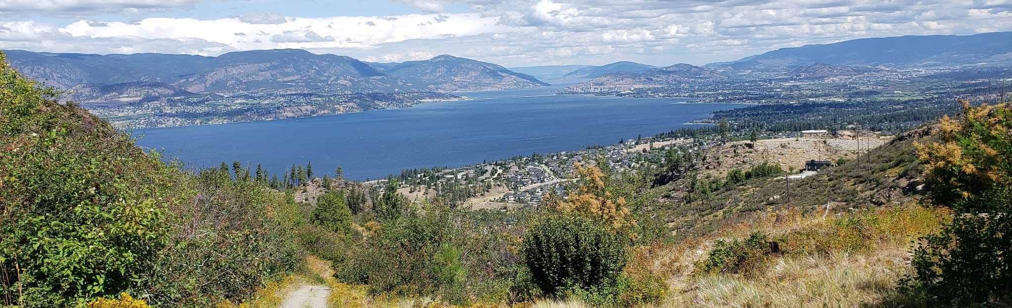 Cedar Mountain Loop, British Columbia, Canada 128 Reviews, Map AllTrails