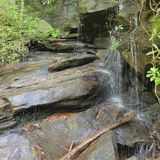 Rim of the Gap Trail to Jones Gap Trail, South Carolina - 151 Reviews ...