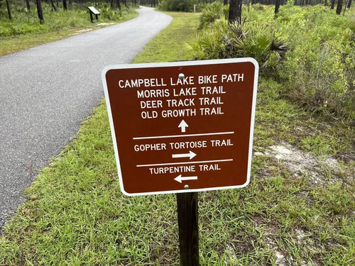 2023 Best Partially Paved Trails in Santa Rosa Beach AllTrails