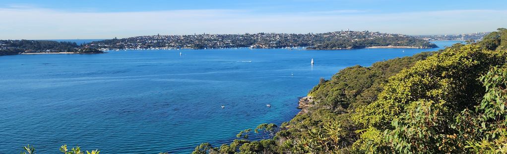 does balmoral beach allow dogs