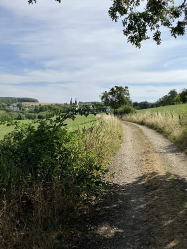 Moselsteig Etappe 2: Palzem - Nittel