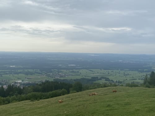 Tregler Alm