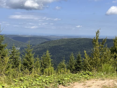Westweg Etappe 3: Forbach - Unterstmatt