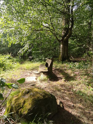 Wattenbach nach Wellerode-Wald über dem Schorn