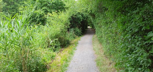 Seeburger See-Rundweg