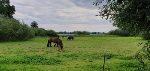 Seeburger See-Rundweg