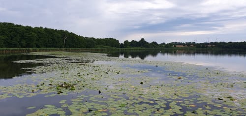 Seeburger See-Rundweg