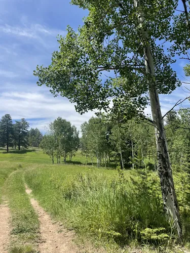 Best Hikes and Trails in Flying J Ranch Park | AllTrails