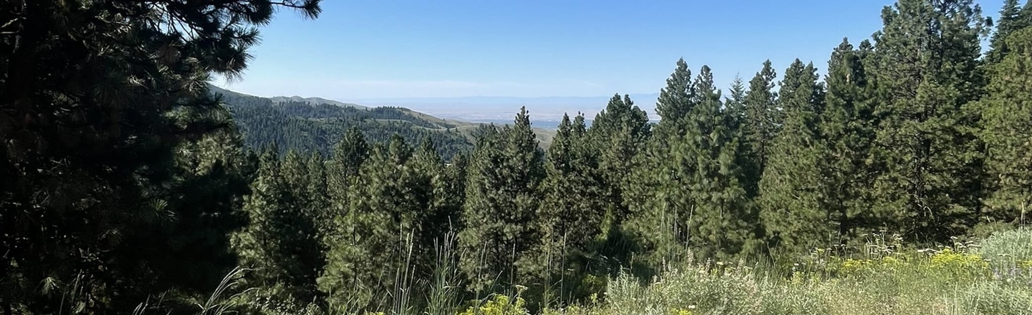 Snowshoe Hare Loop via Ponderosa Pine Overlook, Idaho 296 Reviews