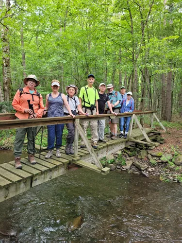 Best Hikes and Trails in Partridge Run Wildlife Management Area | AllTrails