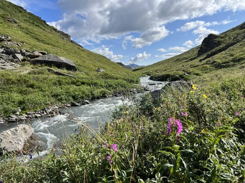 10 Best hikes and trails in Denali National Park AllTrails