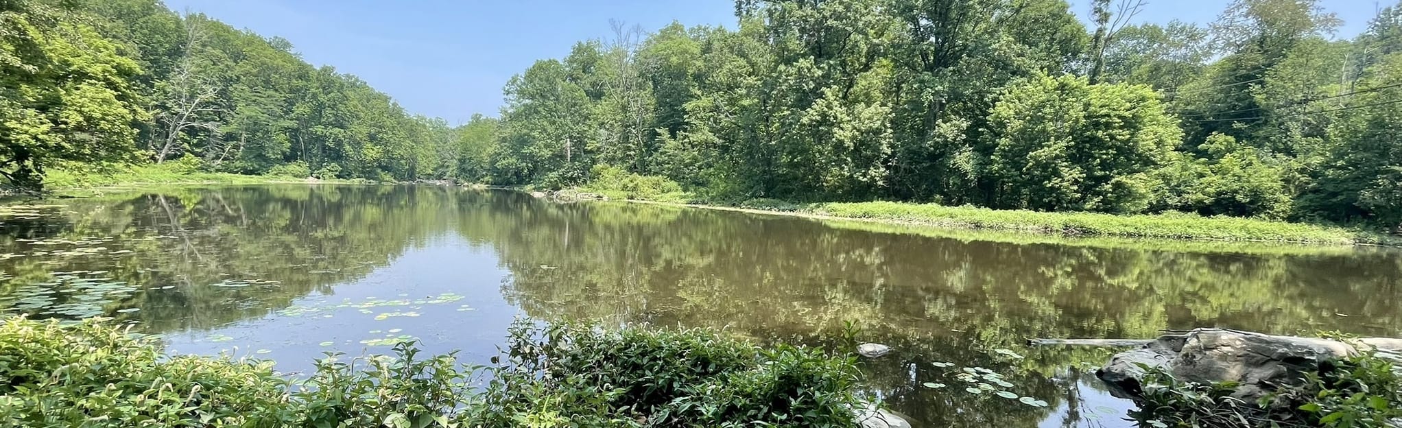 Sterner Mill and Old High Bridge Trail, Pennsylvania 280 Reviews, Map