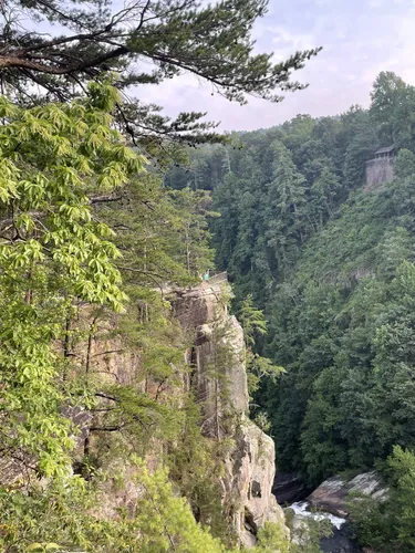 2023 Best Waterfall Trails in Tallulah - EyJidWNrZXQiOiJhc3NldHMuYWxsdHJhaWxzLmNvbSIsImtleSI6InVwbG9hZHMvcGhvdG8vaW1hZ2UvNjI2ODc4NTgvMDMxM2QwODE1YjA5MTc1NmRjMjQ5MTMwNjJiNGM2YWMuanBnIiwiZWRpdHMiOnsidG9Gb3JtYXQiOiJ3ZWJwIiwicmVzaXplIjp7IndpZHRoIjo1MDAsImhlaWdodCI6NTAwLCJmaXQiOiJpbnNpZGUifSwicm90YXRlIjpudWxsLCJqcGVnIjp7InRyZWxsaXNRdWFudGlzYXRpb24iOnRydWUsIm92ZXJzaG9vdERlcmluZ2luZyI6dHJ1ZSwib3B0aW1pc2VTY2FucyI6dHJ1ZSwicXVhbnRpc2F0aW9uVGFibGUiOjN9fX0=