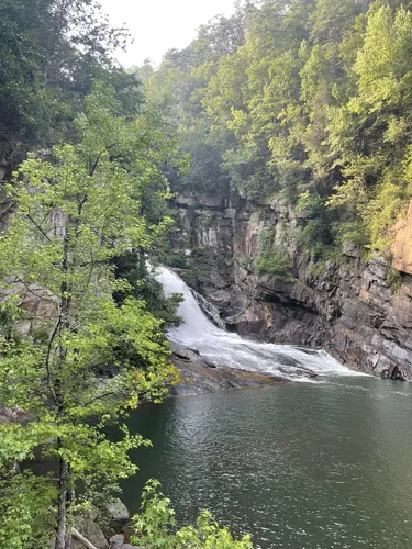 2023 Best Waterfall Trails in Tallulah - EyJidWNrZXQiOiJhc3NldHMuYWxsdHJhaWxzLmNvbSIsImtleSI6InVwbG9hZHMvcGhvdG8vaW1hZ2UvNjI2ODc4NTkvZTEzMmE2MzMwZDAxYjMzZjA0NGRmYzUxNzE4M2ZjNmMuanBnIiwiZWRpdHMiOnsidG9Gb3JtYXQiOiJ3ZWJwIiwicmVzaXplIjp7IndpZHRoIjo1MDAsImhlaWdodCI6NTAwLCJmaXQiOiJpbnNpZGUifSwicm90YXRlIjpudWxsLCJqcGVnIjp7InRyZWxsaXNRdWFudGlzYXRpb24iOnRydWUsIm92ZXJzaG9vdERlcmluZ2luZyI6dHJ1ZSwib3B0aW1pc2VTY2FucyI6dHJ1ZSwicXVhbnRpc2F0aW9uVGFibGUiOjN9fX0=