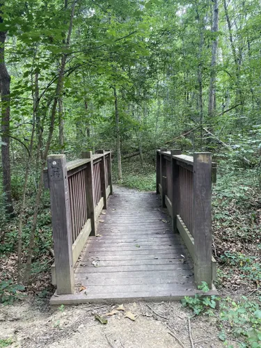 Best Hikes and Trails in Sherando Park | AllTrails