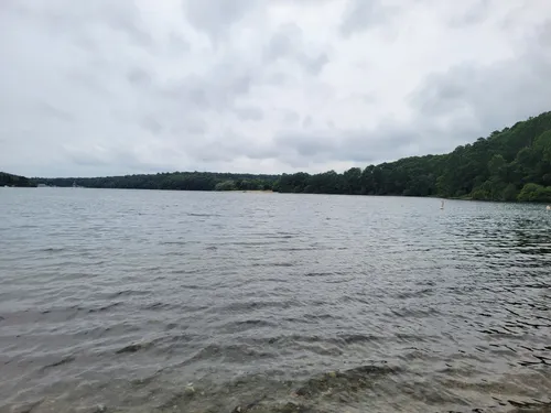 2023 Best Walking Trails in Forestdale AllTrails