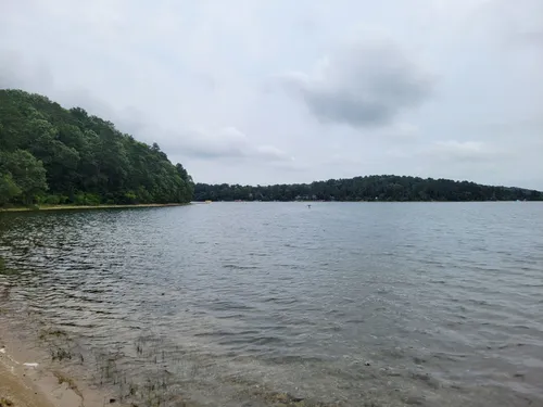 2023 Best Walking Trails in Forestdale AllTrails