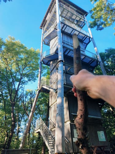 Zum Soisbergturm