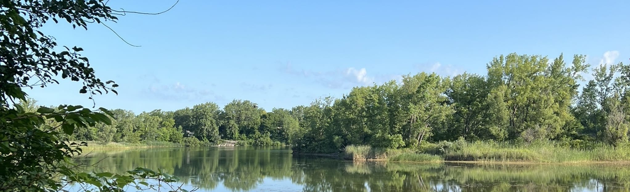 DeWitt Recreation Area Loop, New York 107 Reviews, Map AllTrails