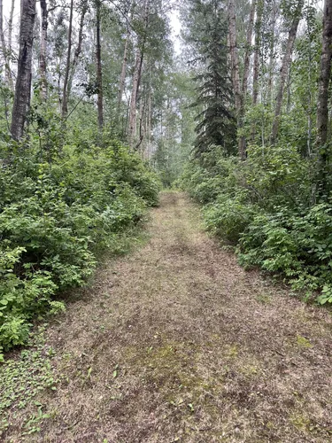 Best Hikes and Trails in Winagami Lake Provincial Park AllTrails