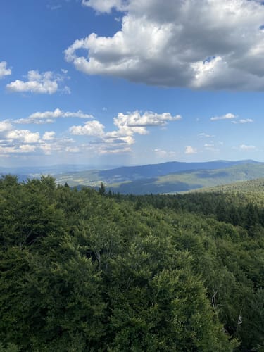 Goldsteig Zuwege Nr. 30: Von Grandsberg auf den Hirschenstein