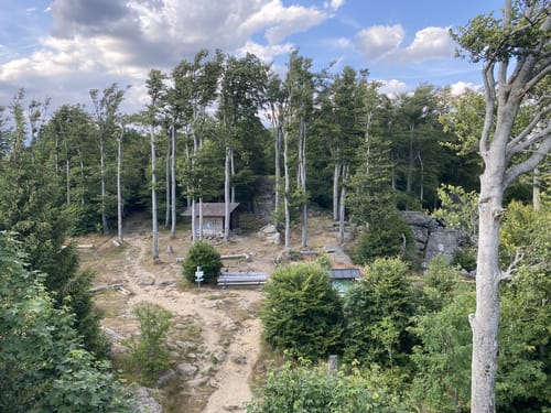 Goldsteig Zuwege Nr. 30: Von Grandsberg auf den Hirschenstein